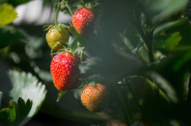 Similar image 21497582