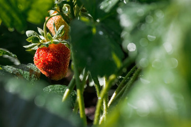 Similar image 21497586