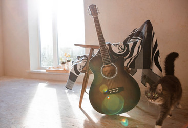 Similar image 21497595