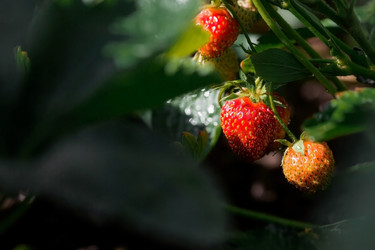 Similar image 21497598