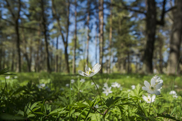 Similar image 21497728