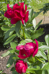 Similar image 21497653