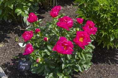 Similar image 21497654