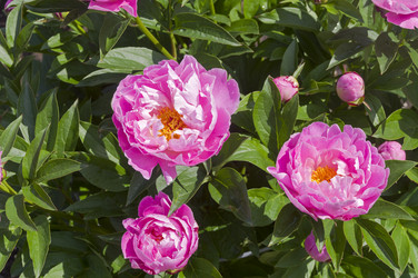 Similar image 21497655