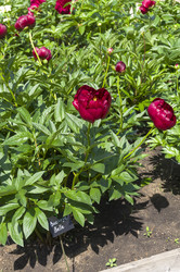 Similar image 21497656