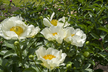 Similar image 21497657