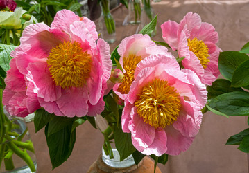 Similar image 21497658