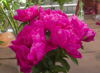 Similar image 21497661