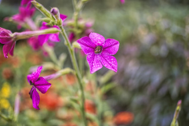 Similar image 21497684