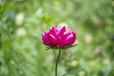 Similar image 21497730