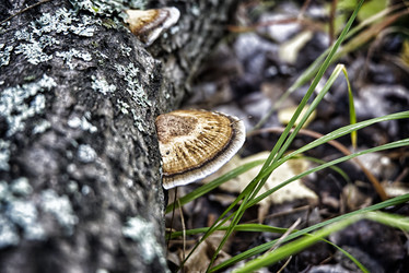 Similar image 21497731