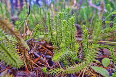 Similar image 21497732