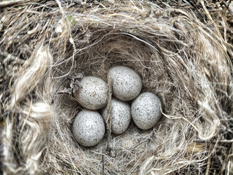 Similar image 21497733