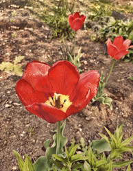 Similar image 21497734