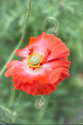 Similar image 21497735