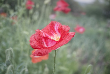 Similar image 21497736