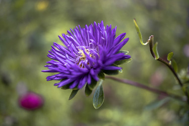 Similar image 21497737