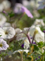 Similar image 21497470