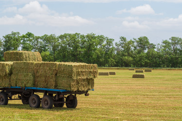 Similar image 21497472