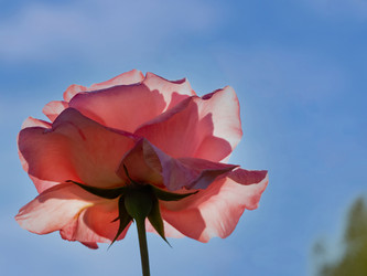 Similar image 21497474