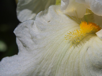 Similar image 21497479