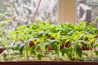 Similar image 21497482