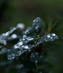 Similar image 21497665