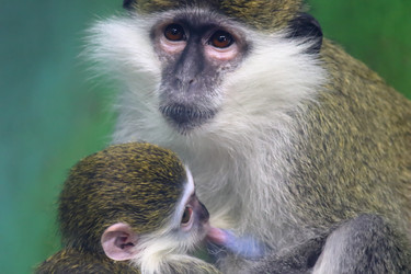 Similar image 21497742