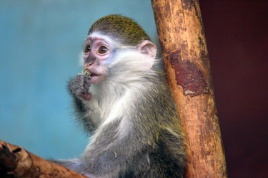 Similar image 21497743