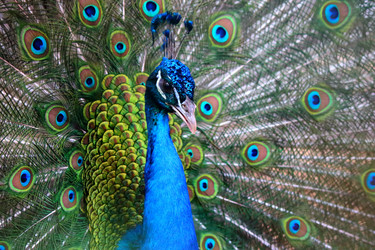 Similar image 21497744