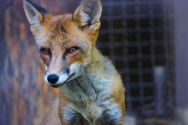 Similar image 21497746