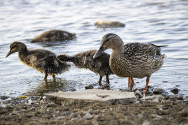 Similar image 21497747