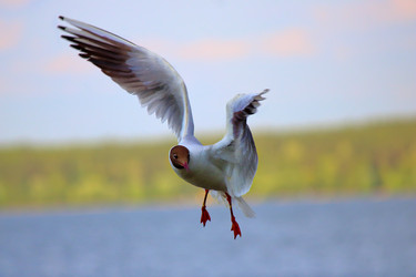 Similar image 21497749