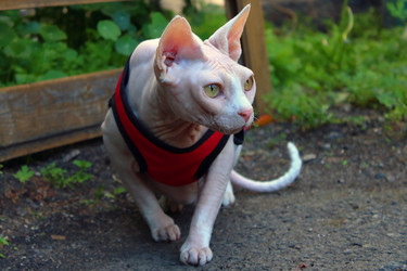 Similar image 21497750