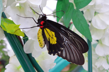 Similar image 21497751