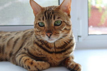 Similar image 21497752