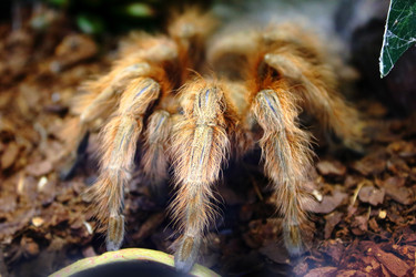 Similar image 21497753