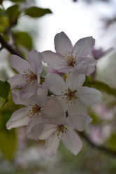 Similar image 21498042