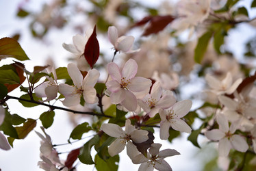 Similar image 21498044