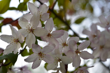 Similar image 21498045