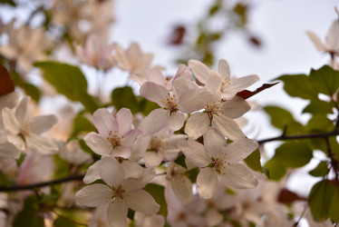 Similar image 21498046