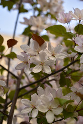 Similar image 21498048