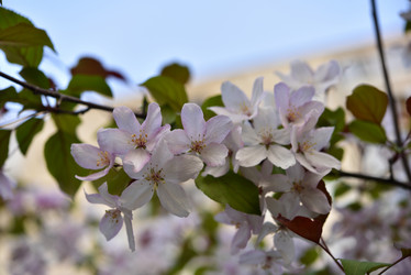 Similar image 21498049