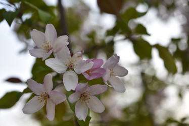 Similar image 21498050