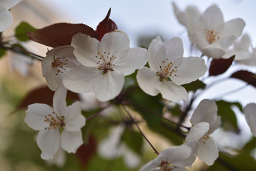 Similar image 21498052