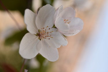 Similar image 21498053