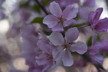 Similar image 21498054