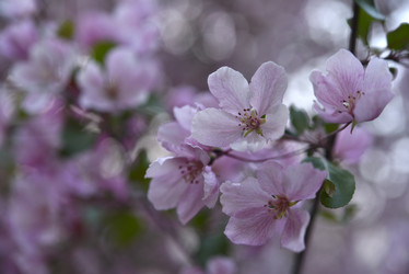 Similar image 21498055