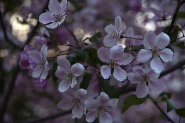 Similar image 21498056