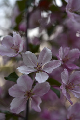 Similar image 21498058